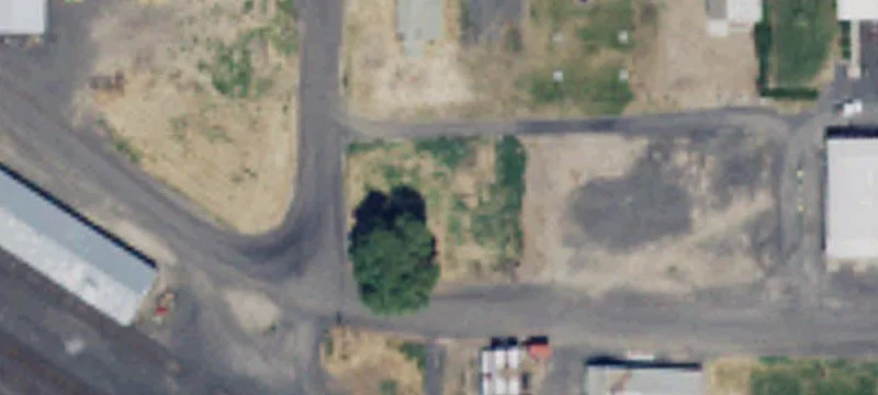 Wilson Creek, WA 98860