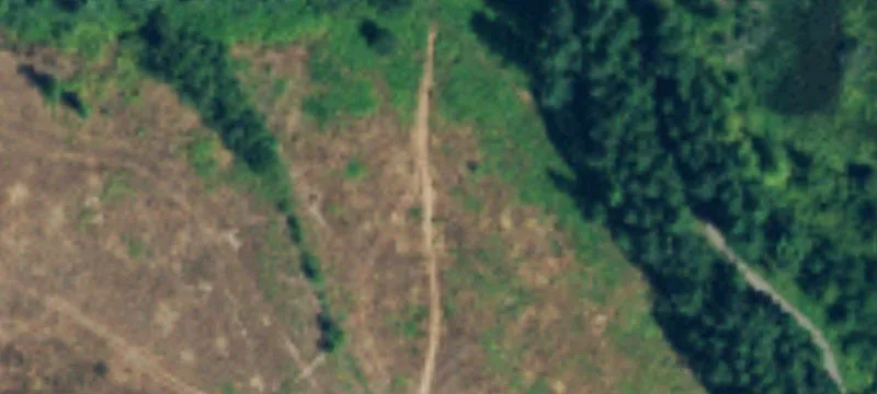 Fife, WA 98424