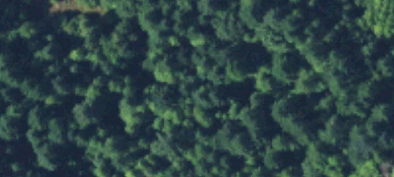 Belfair, WA 98528