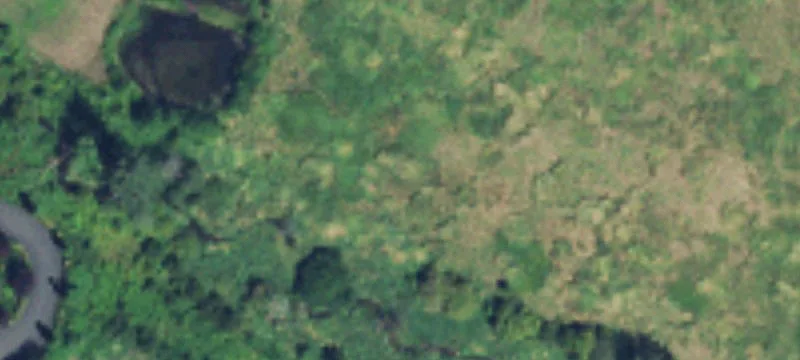 Camas, WA 98607