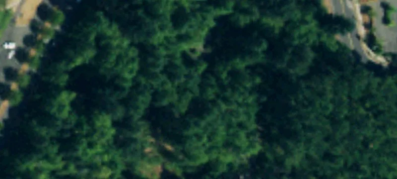Federal Way, WA 98003