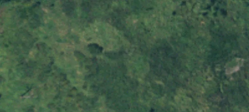 Frst Napavine W Rd