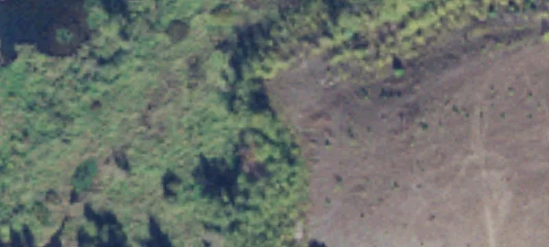 Hamilton, WA 98255