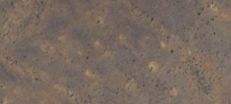 Wilson Creek, WA 98860