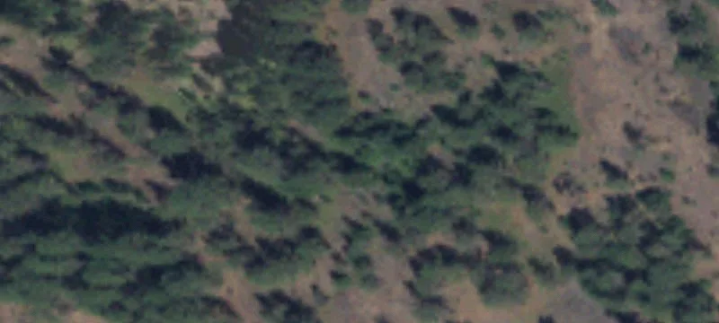 Cheney, WA 99004