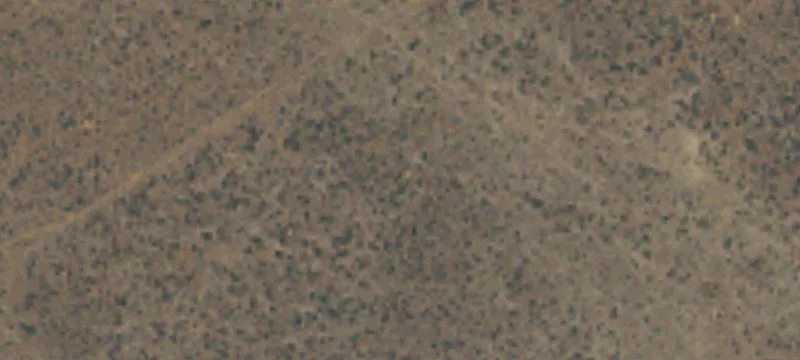 Ellensburg, WA 98926