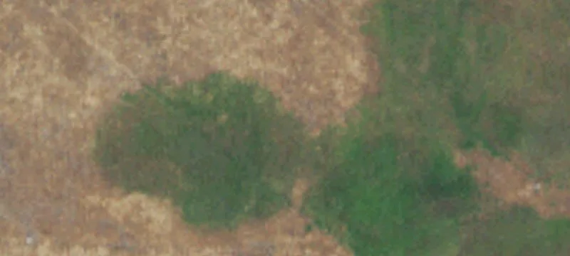 Moses Lake, WA 98837