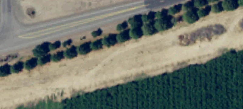Prosser, WA 99350