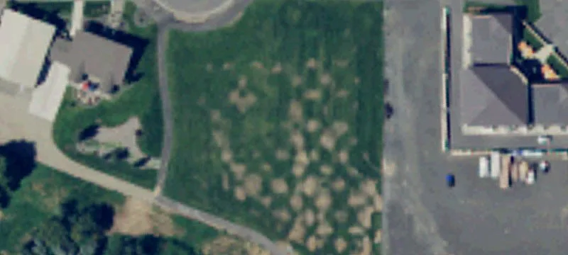 Prosser, WA 99350