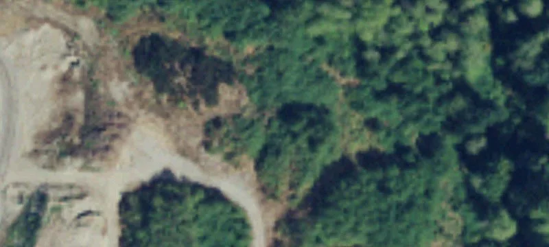 Arlington, WA 98223