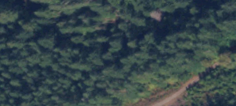 Marblemount, WA 98267