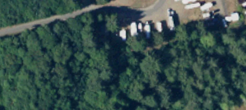 Copalis Beach, WA 98535