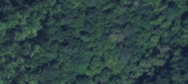 Washougal, WA 98671