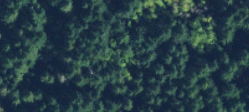 Tahuya, WA 98588