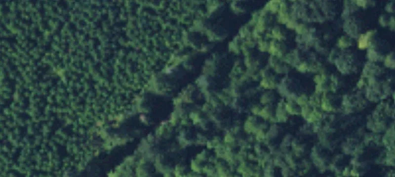 Grapeview, WA 98546