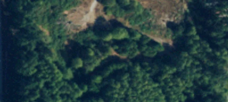 Oak Harbor, WA 98277