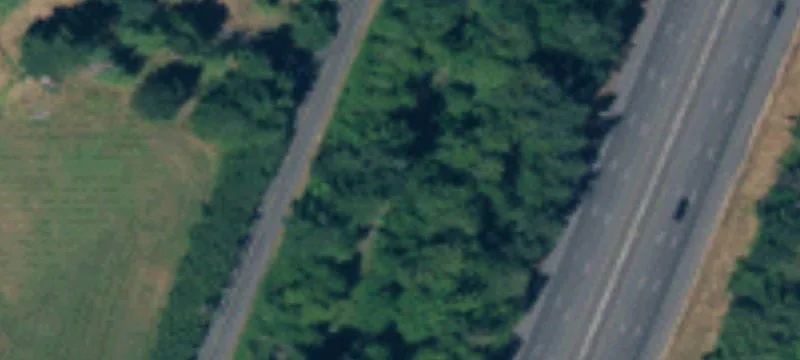 Rochester, WA 98579