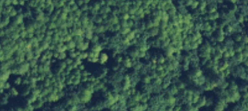 Lilliwaup, WA 98555