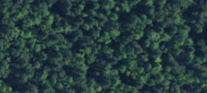 Ravensdale, WA 98051