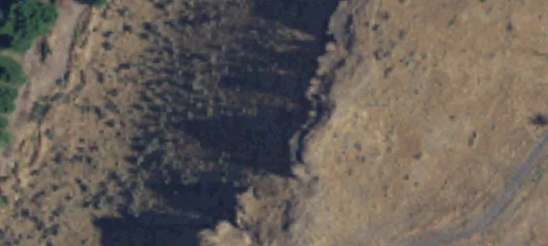 Mesa, WA 99343