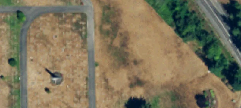 Lynnwood, WA 98036