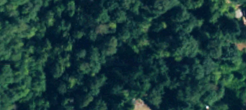 Bellevue, WA 98006