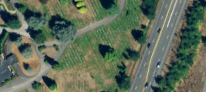 Lynnwood, WA 98036
