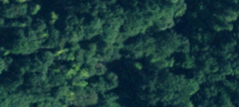 Bellevue, WA 98006