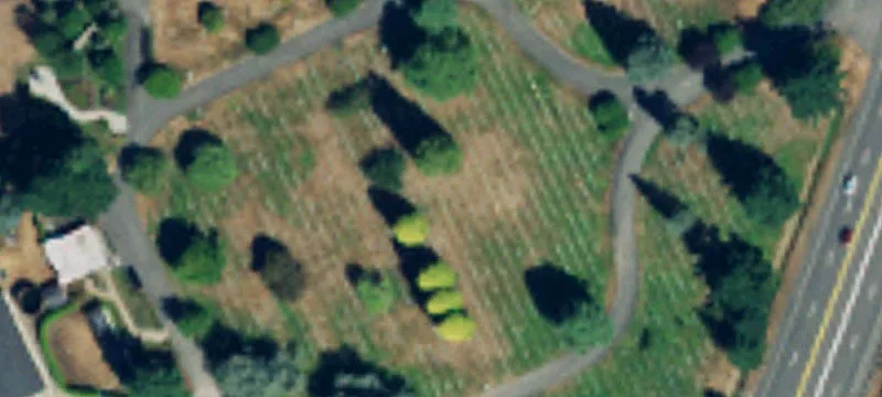 Lynnwood, WA 98036