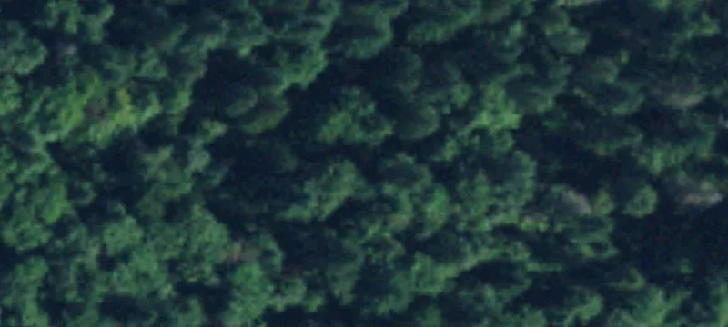 Maple Valley, WA 98038
