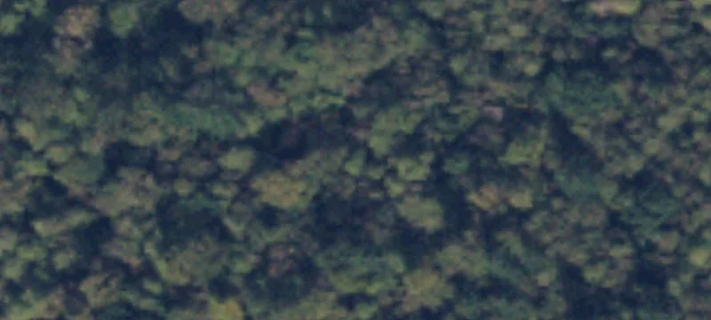 Marblemount, WA 98267