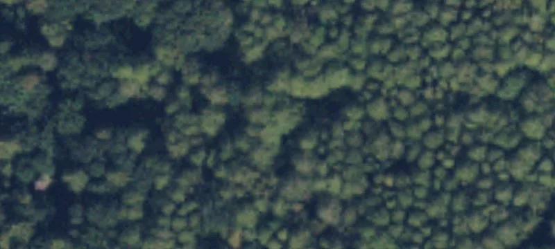 Marblemount, WA 98267