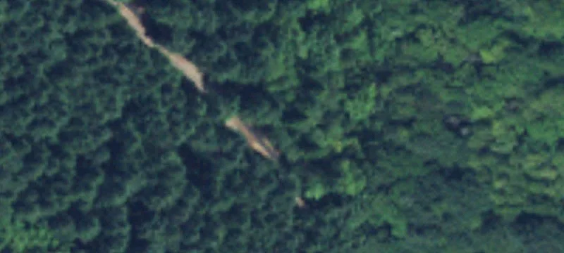 Camas, WA 98607