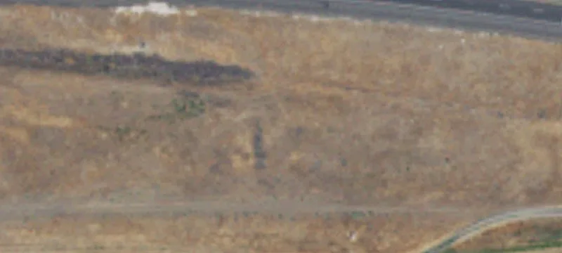 Moses Lake, WA 98837