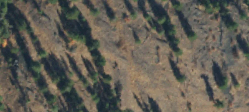 Oroville, WA 98844