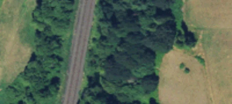 Ridgefield, WA 98642