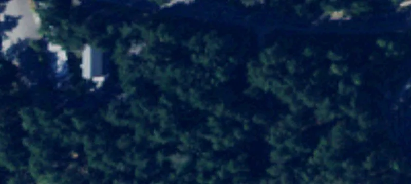 Orcas, WA 98280