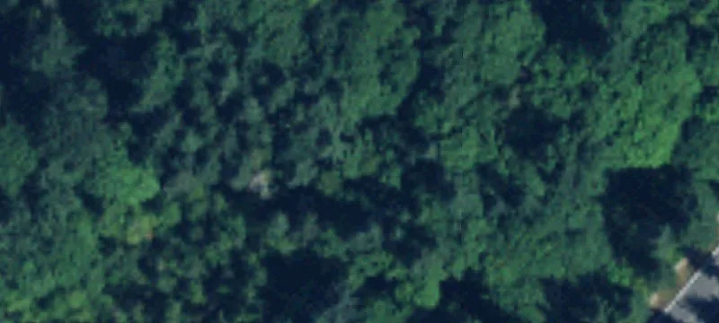 Redmond, WA 98052