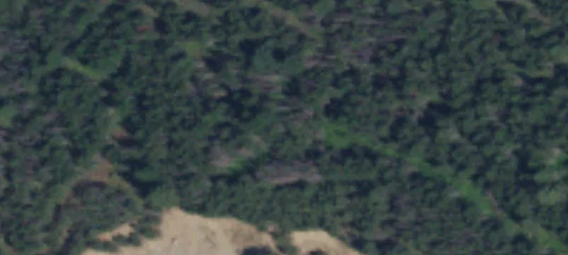 Elk, WA 99009