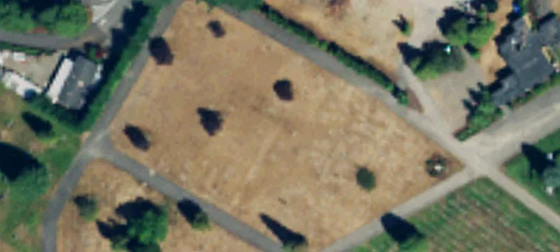 Lynnwood, WA 98036