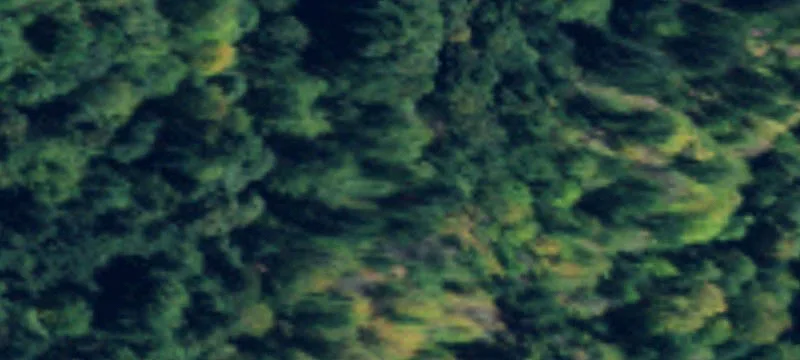 Sedro Woolley, WA 98284