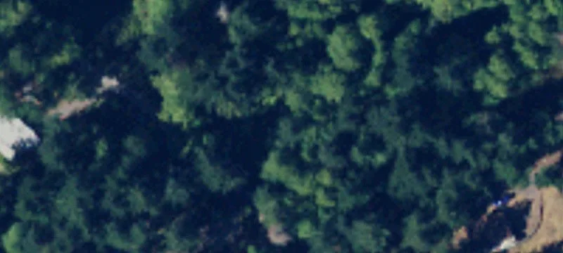 Orcas, WA 98280