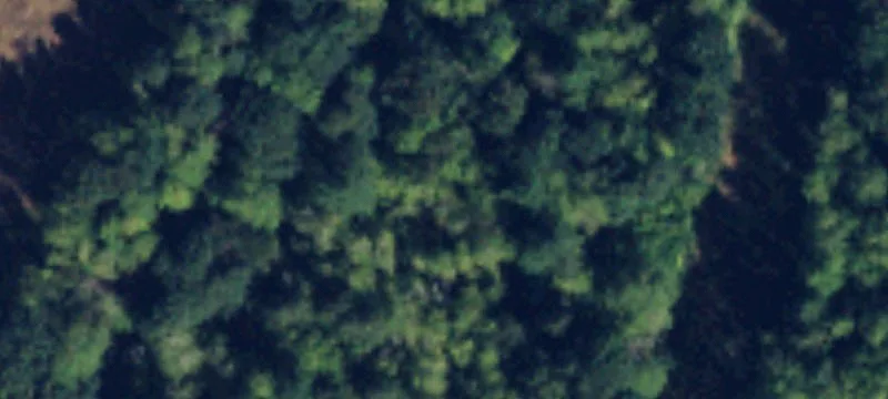 Sedro Woolley, WA 98284