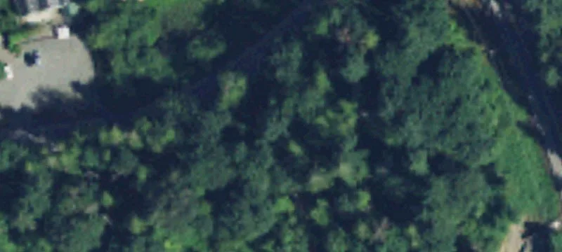 Black Diamond, WA 98010