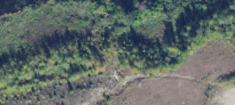 Hamilton, WA 98255