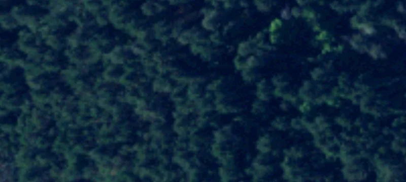 Orcas, WA 98280