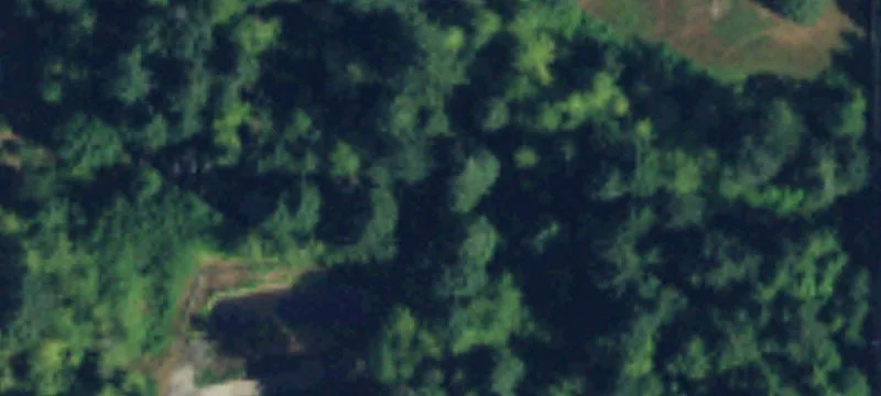 Snohomish, WA 98290