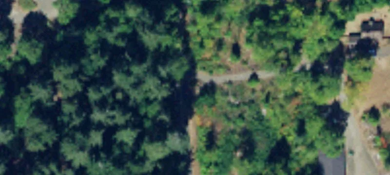 Elma, WA 98541
