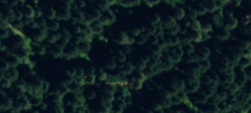 Naches, WA 98937