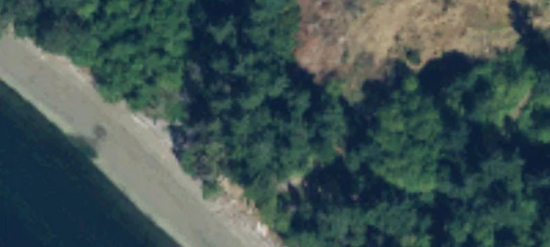 Anderson Island, WA 98303